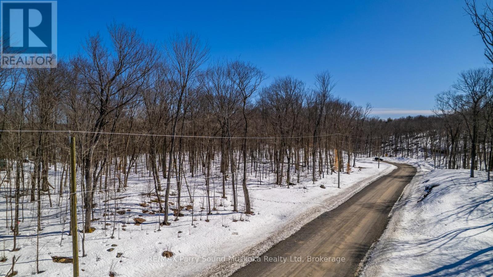 20 Zhaawashkwaa Miika Road, Seguin, Ontario  P2A 0B2 - Photo 41 - X12036598