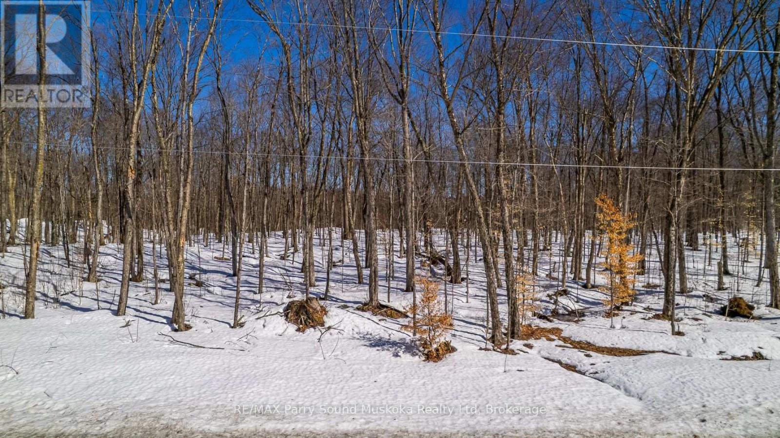 20 Zhaawashkwaa Miika Road, Seguin, Ontario  P2A 0B2 - Photo 42 - X12036598