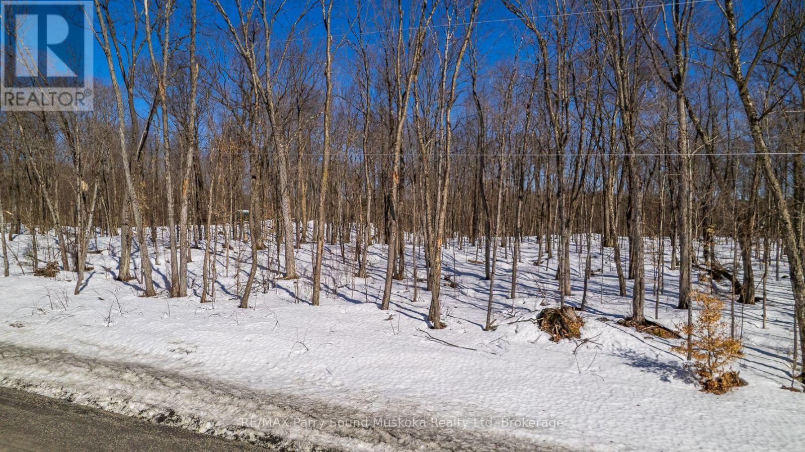 20 Zhaawashkwaa Miika Road, Seguin, Ontario  P2A 0B2 - Photo 44 - X12036598