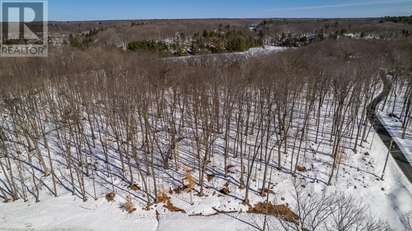 20 Zhaawashkwaa Miika Road, Seguin, Ontario  P2A 0B2 - Photo 46 - X12036598
