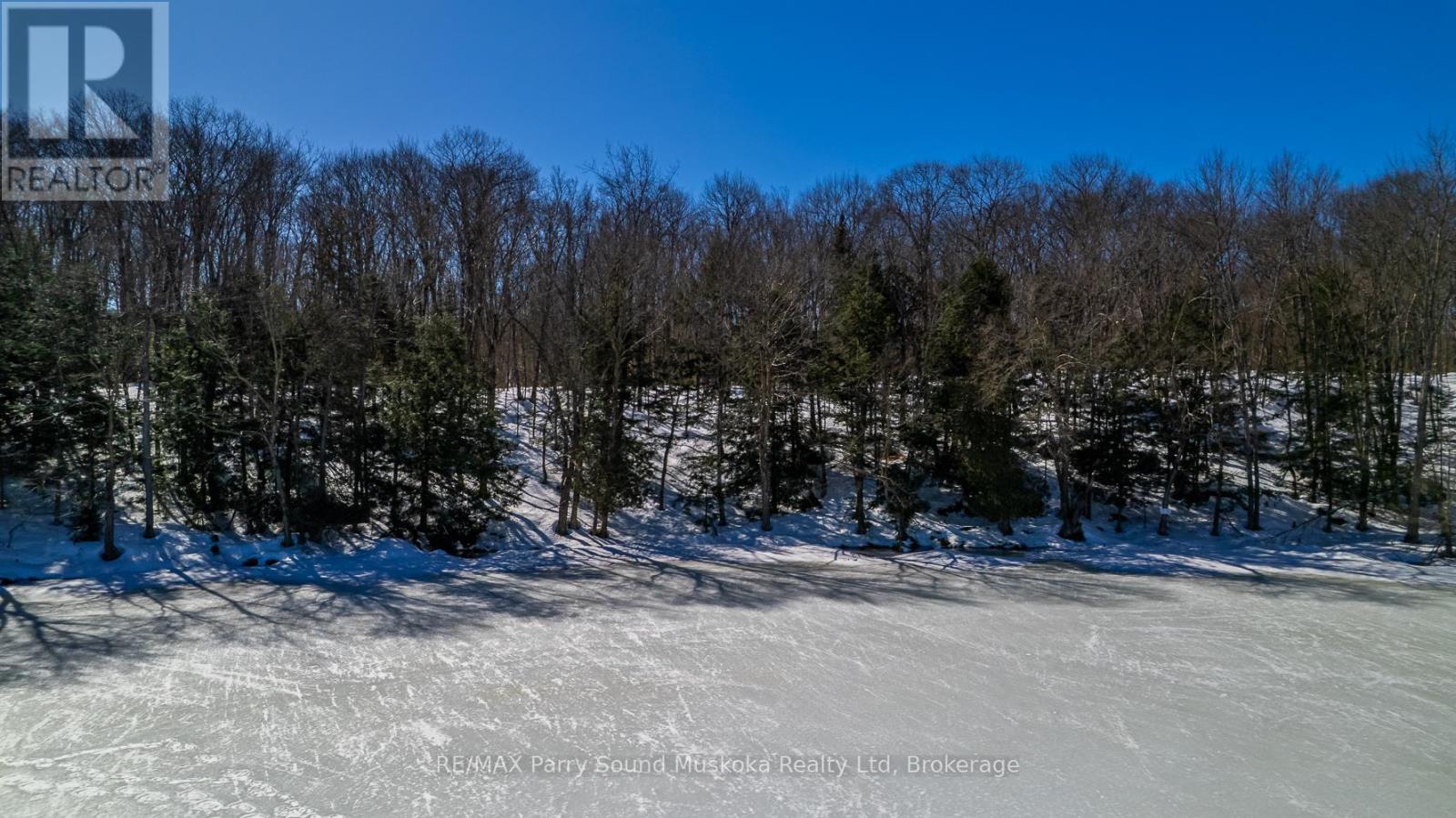 20 Zhaawashkwaa Miika Road, Seguin, Ontario  P2A 0B2 - Photo 8 - X12036598