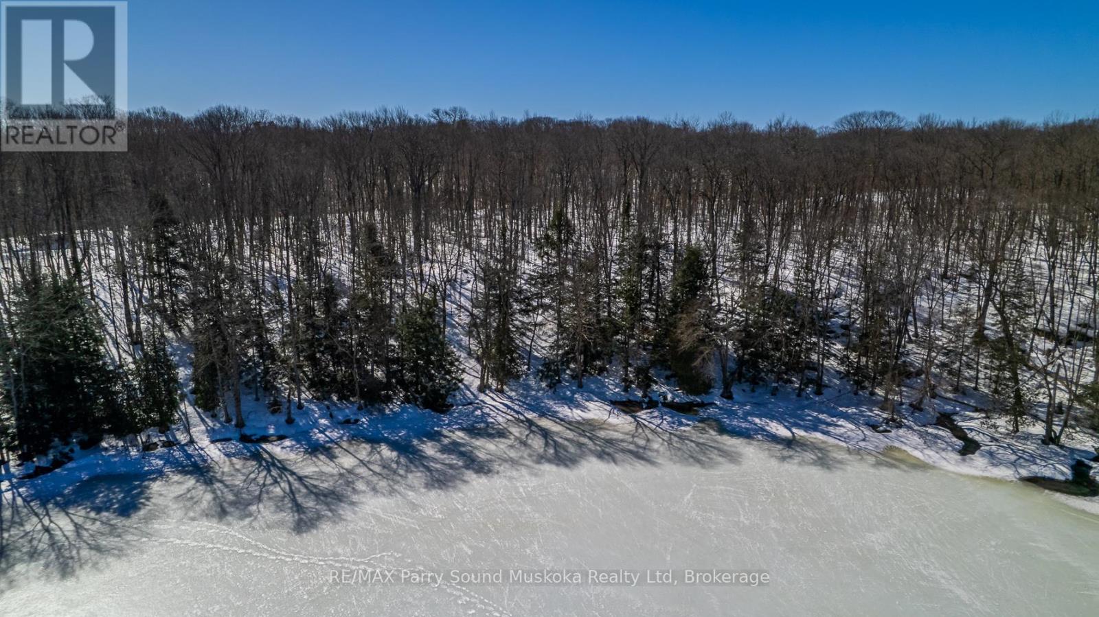 20 Zhaawashkwaa Miika Road, Seguin, Ontario  P2A 0B2 - Photo 9 - X12036598