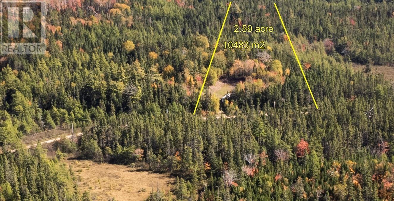 125 Doris Lane, Kempt Road, Nova Scotia  B0E 1J0 - Photo 5 - 202505591