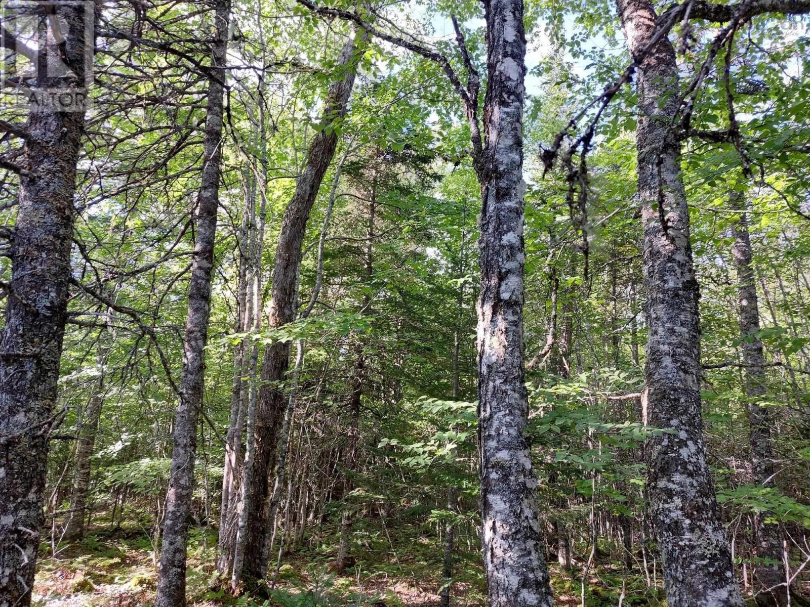 125 Doris Lane, Kempt Road, Nova Scotia  B0E 1J0 - Photo 9 - 202505591