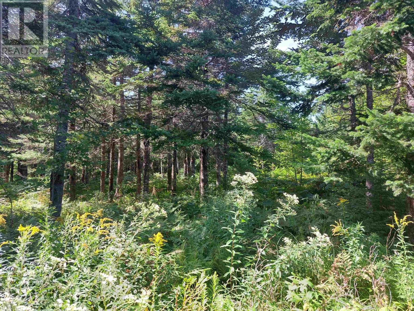 Lot 9 West Bay Hwy, French Cove, Nova Scotia  B0E 3B0 - Photo 5 - 202505593