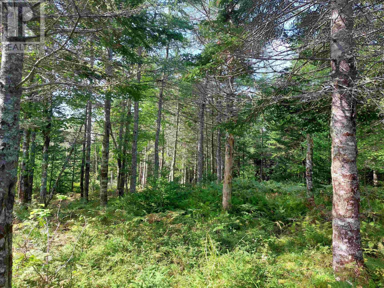 Lot 5 West Bay Hwy, French Cove, Nova Scotia  B0E 3B0 - Photo 10 - 202505597