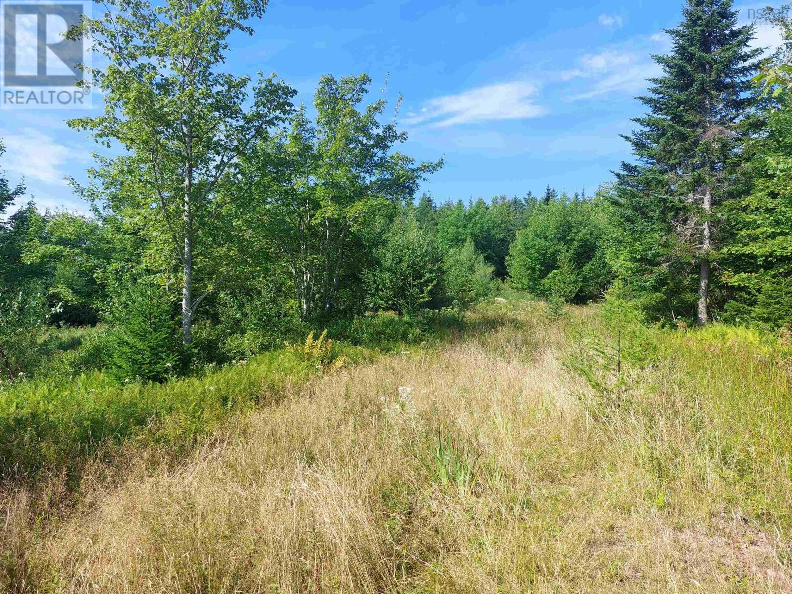Lot 5 West Bay Hwy, French Cove, Nova Scotia  B0E 3B0 - Photo 2 - 202505597