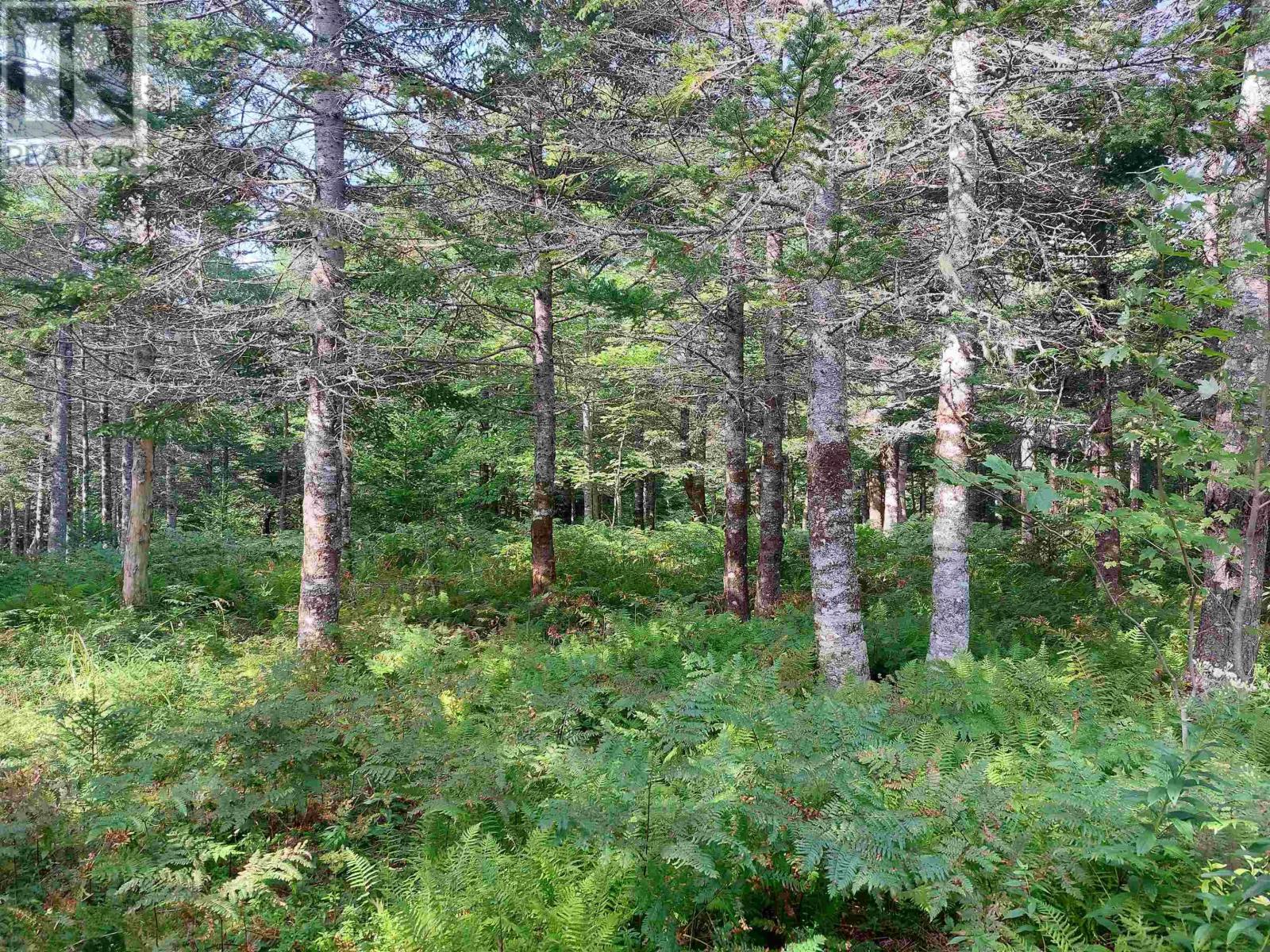 Lot 5 West Bay Hwy, French Cove, Nova Scotia  B0E 3B0 - Photo 7 - 202505597