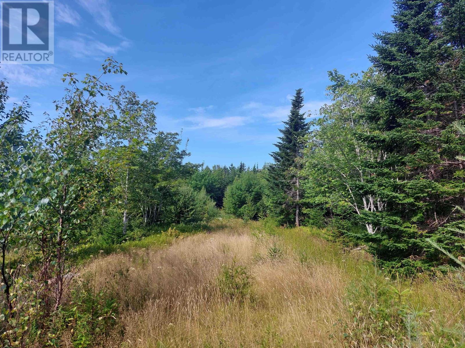 Lot 5 West Bay Hwy, French Cove, Nova Scotia  B0E 3B0 - Photo 8 - 202505597
