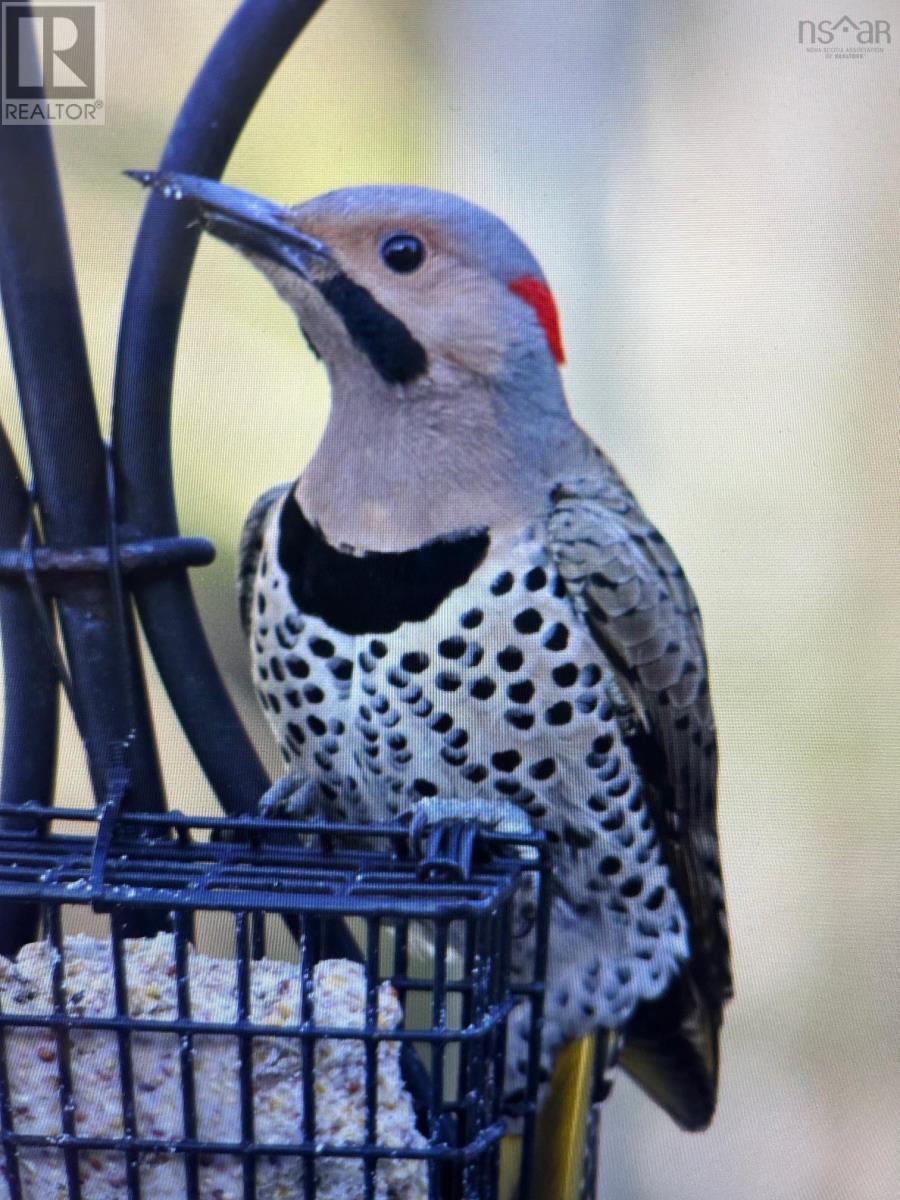 35 Carmichael Drive, Sydney River, Nova Scotia  B1S 3K4 - Photo 13 - 202505598