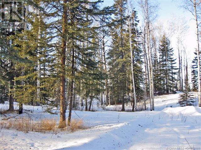 5 Ridgeland Road, Rural Clearwater County, Alberta  T4T 2A4 - Photo 6 - A2086761