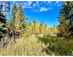 4 Forrest Close Ridgeland Estates, Rural Clearwater County, Ca