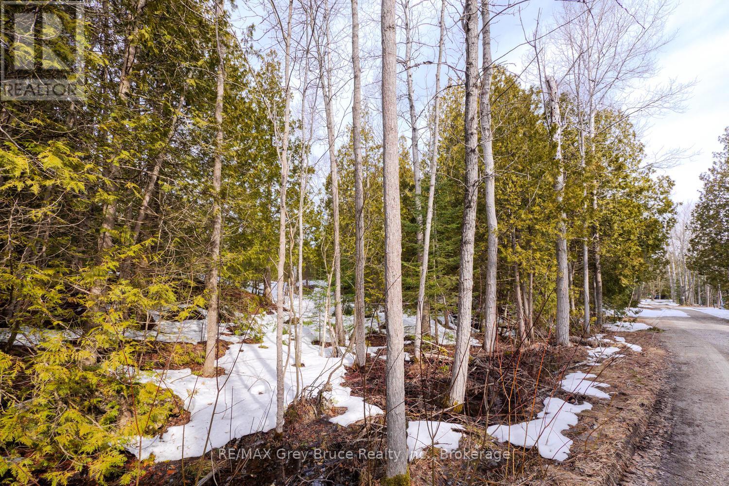 Na Birchwood Drive, Northern Bruce Peninsula, Ontario  N0H 2R0 - Photo 5 - X12037180