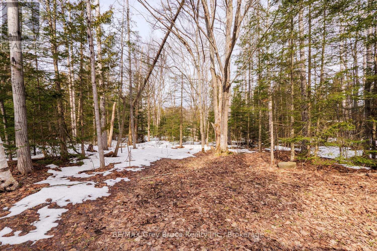 Na Birchwood Drive, Northern Bruce Peninsula, Ontario  N0H 2R0 - Photo 7 - X12037180
