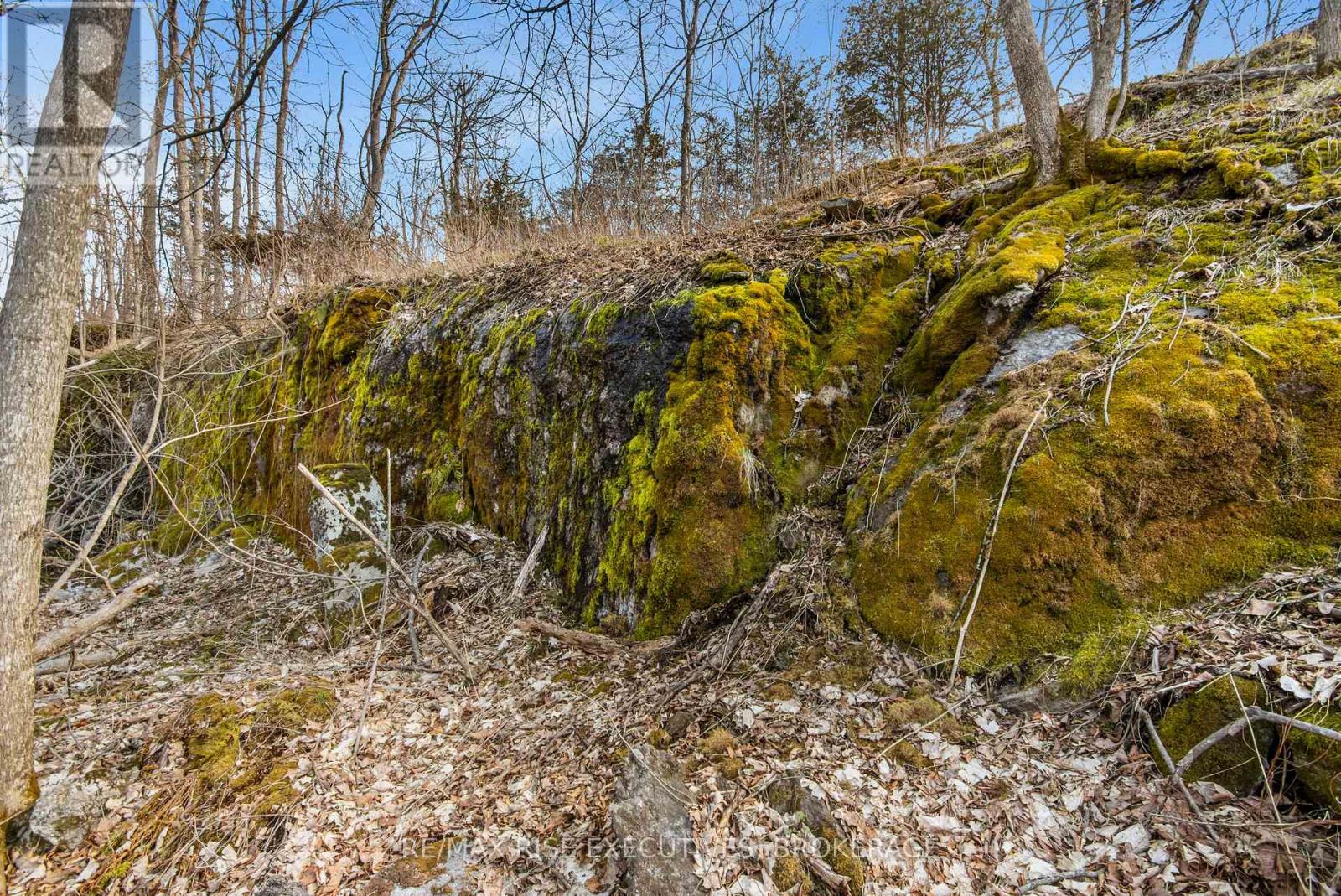 6 Cranberry Cove Lane, Frontenac, Ontario  K0H 2N0 - Photo 13 - X12037221