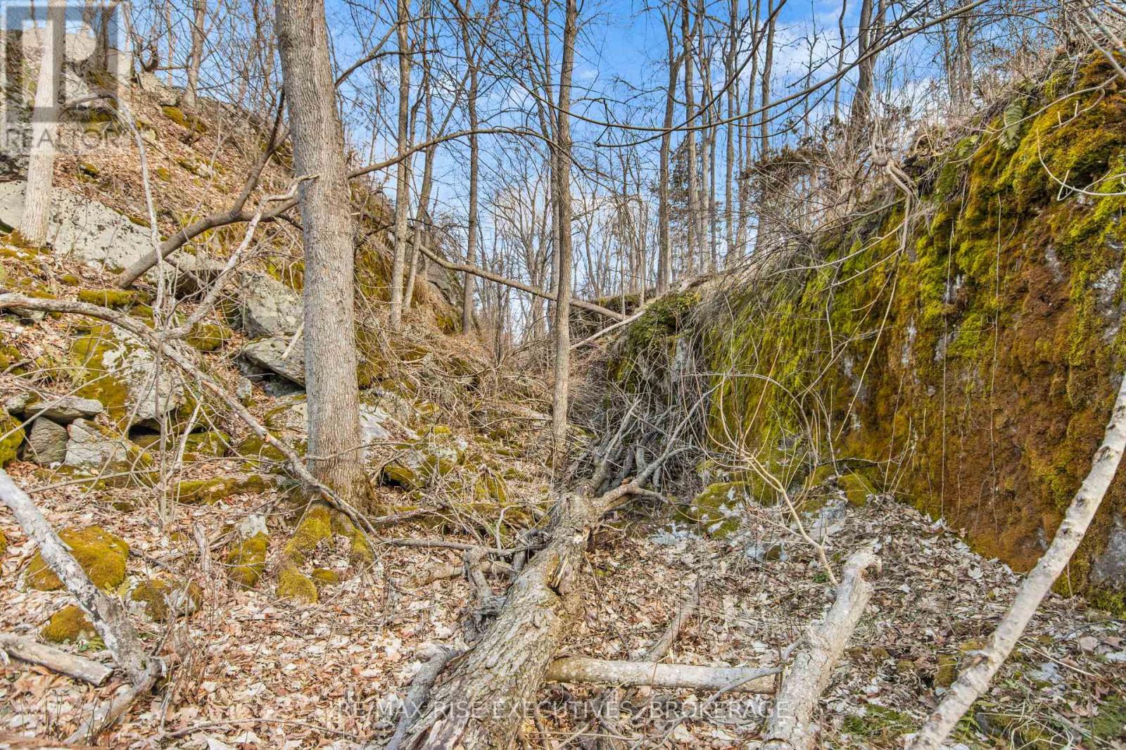 6 Cranberry Cove Lane, Frontenac, Ontario  K0H 2N0 - Photo 14 - X12037221
