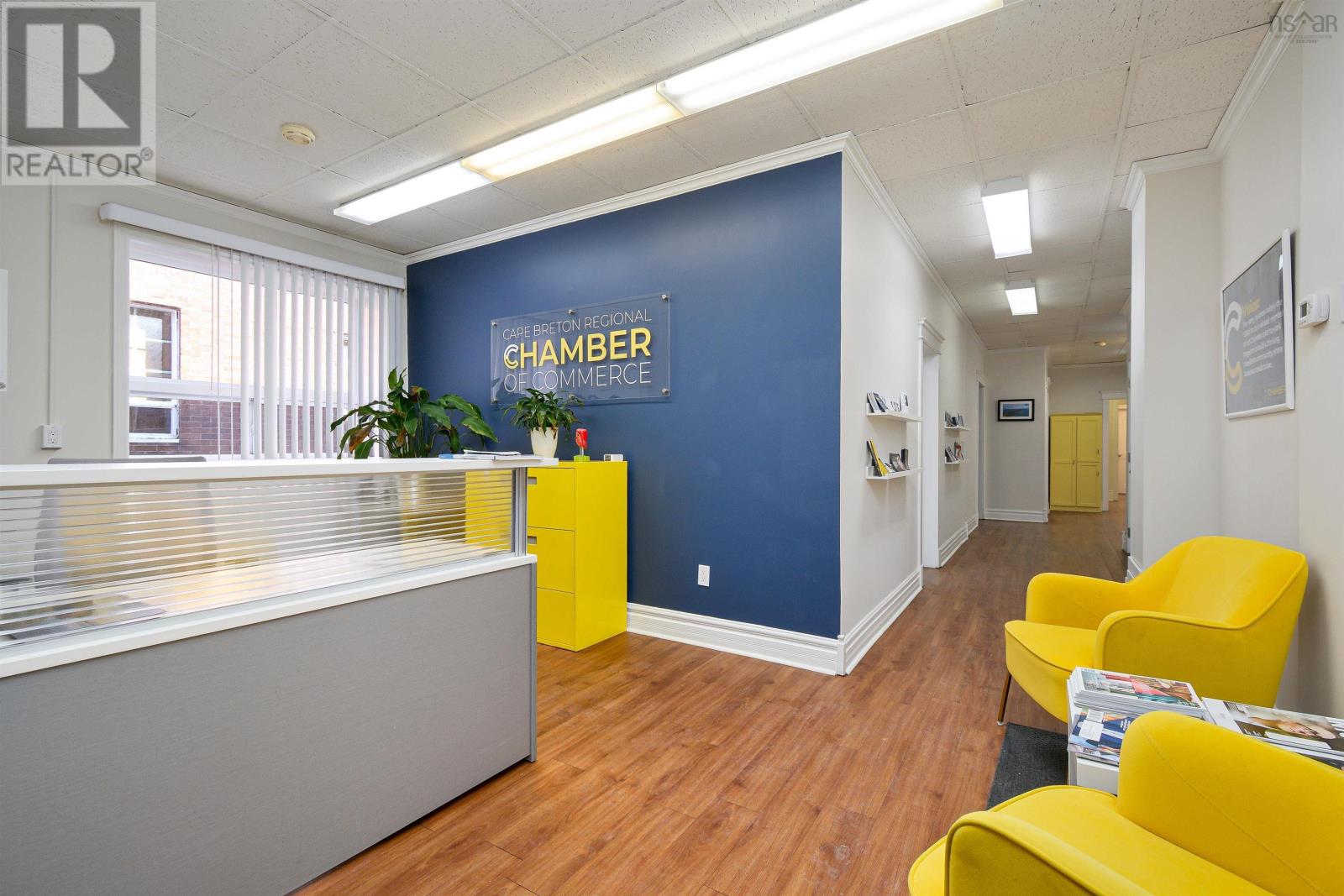 50 Dorchester Street, Sydney, Nova Scotia  B1P 5Z1 - Photo 6 - 202505341