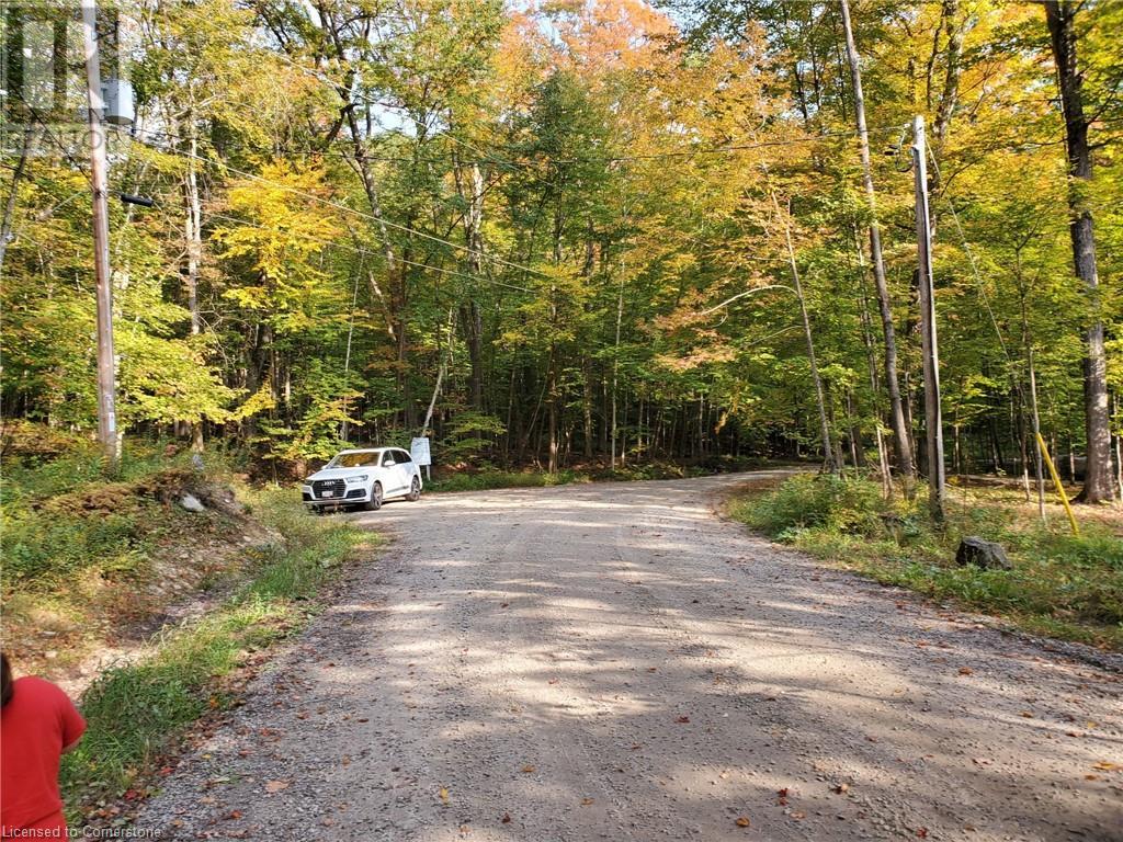 0 Echo Bay Road, Dwight, Ontario  P0A 1H0 - Photo 13 - 40708623