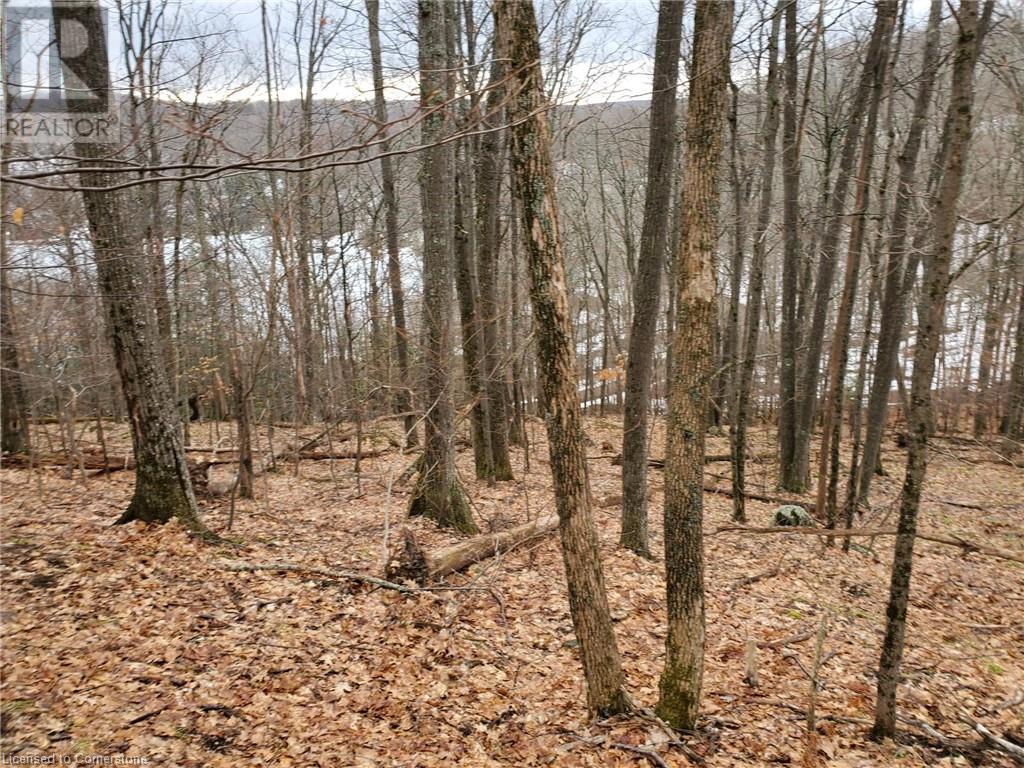 0 Echo Bay Road, Dwight, Ontario  P0A 1H0 - Photo 5 - 40708623