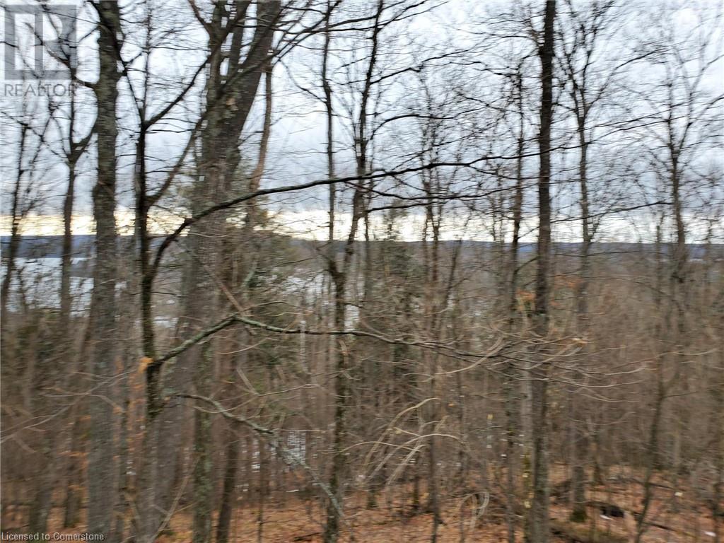 0 Echo Bay Road, Dwight, Ontario  P0A 1H0 - Photo 7 - 40708623