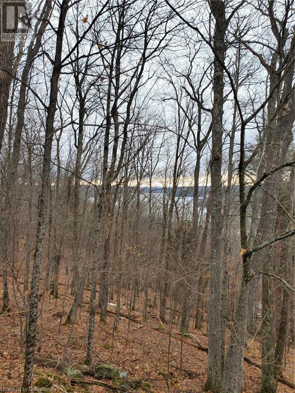 0 Echo Bay Road, Dwight, Ontario  P0A 1H0 - Photo 6 - 40708623