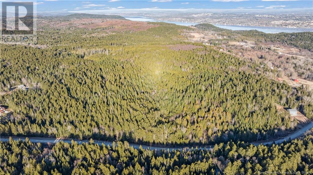 Williams Road, Moss Glen, New Brunswick  E5S 2C7 - Photo 12 - NB114625