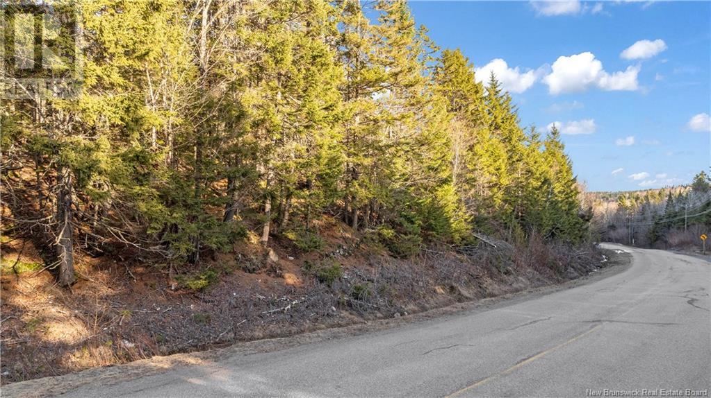 Williams Road, Moss Glen, New Brunswick  E5S 2C7 - Photo 17 - NB114625