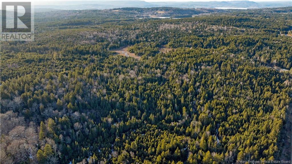 Williams Road, Moss Glen, New Brunswick  E5S 2C7 - Photo 6 - NB114625