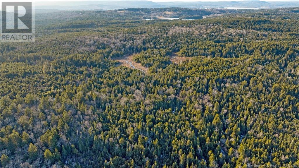 Williams Road, Moss Glen, New Brunswick  E5S 2C7 - Photo 7 - NB114625