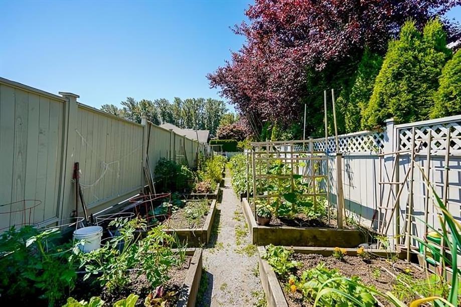 60 17516 4 Avenue, Surrey, British Columbia  V3S 0S1 - Photo 37 - R2980164