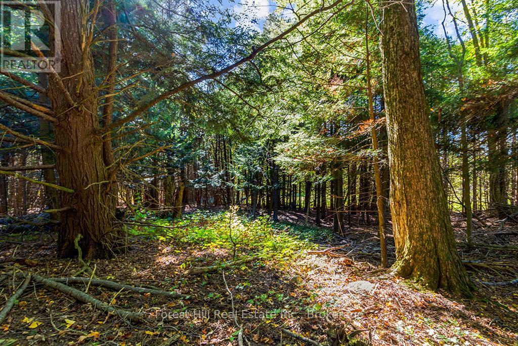 Ptlt3 2 Concession, Meaford, Ontario  N0H 1G0 - Photo 21 - X12038022