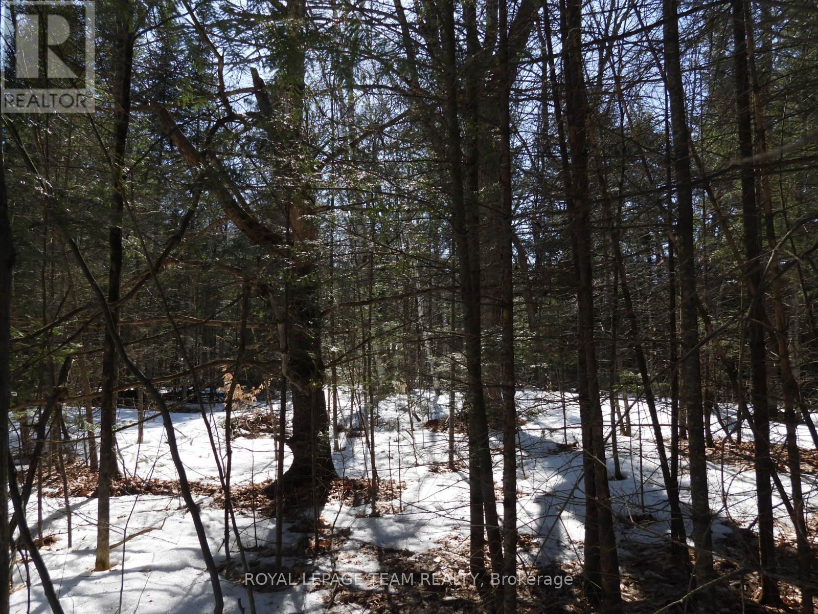 112 Mitchell Lane, Mcnab/braeside, Ontario  K7S 3G8 - Photo 23 - X12038111