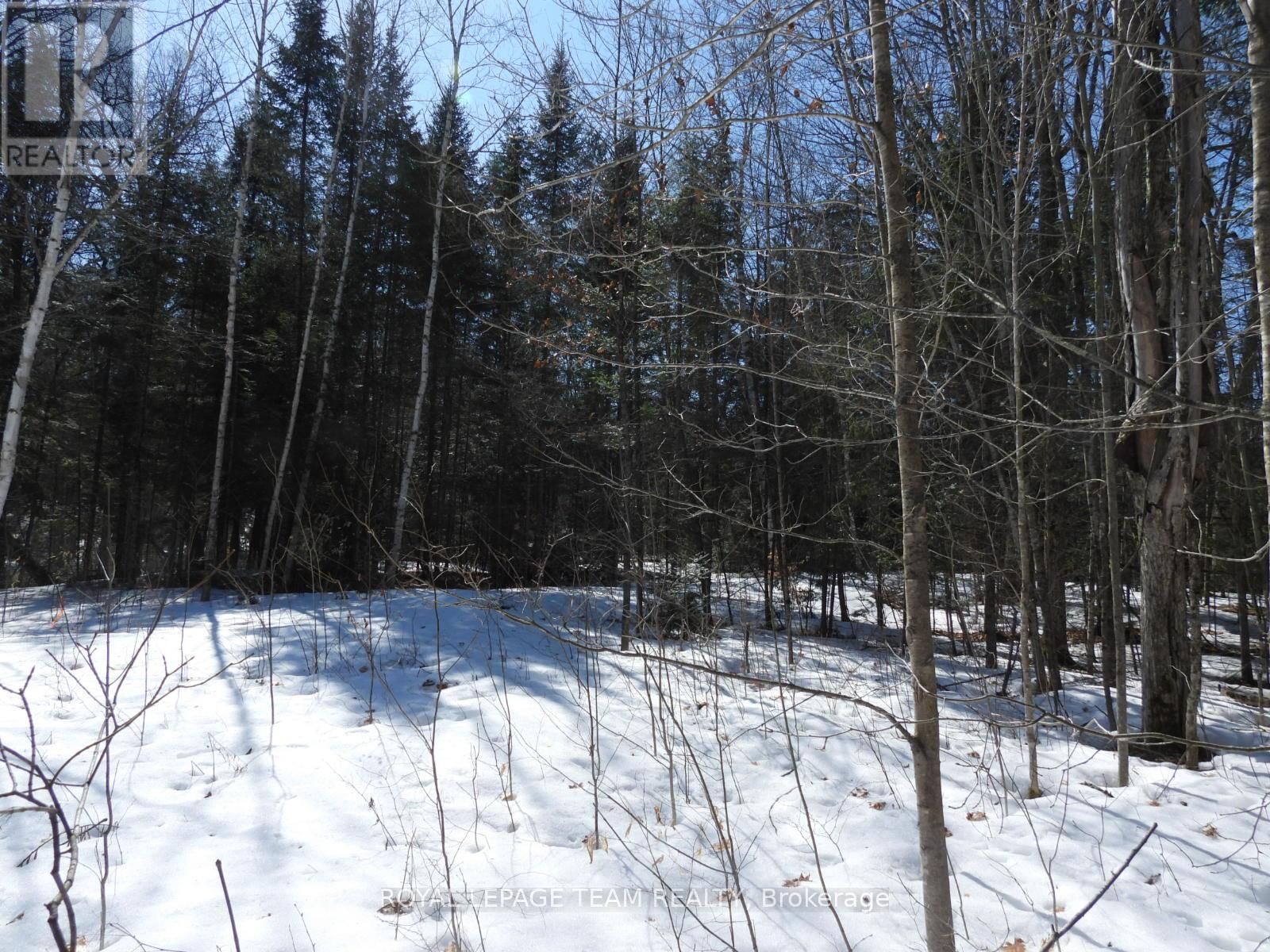 112 Mitchell Lane, Mcnab/braeside, Ontario  K7S 3G8 - Photo 24 - X12038111