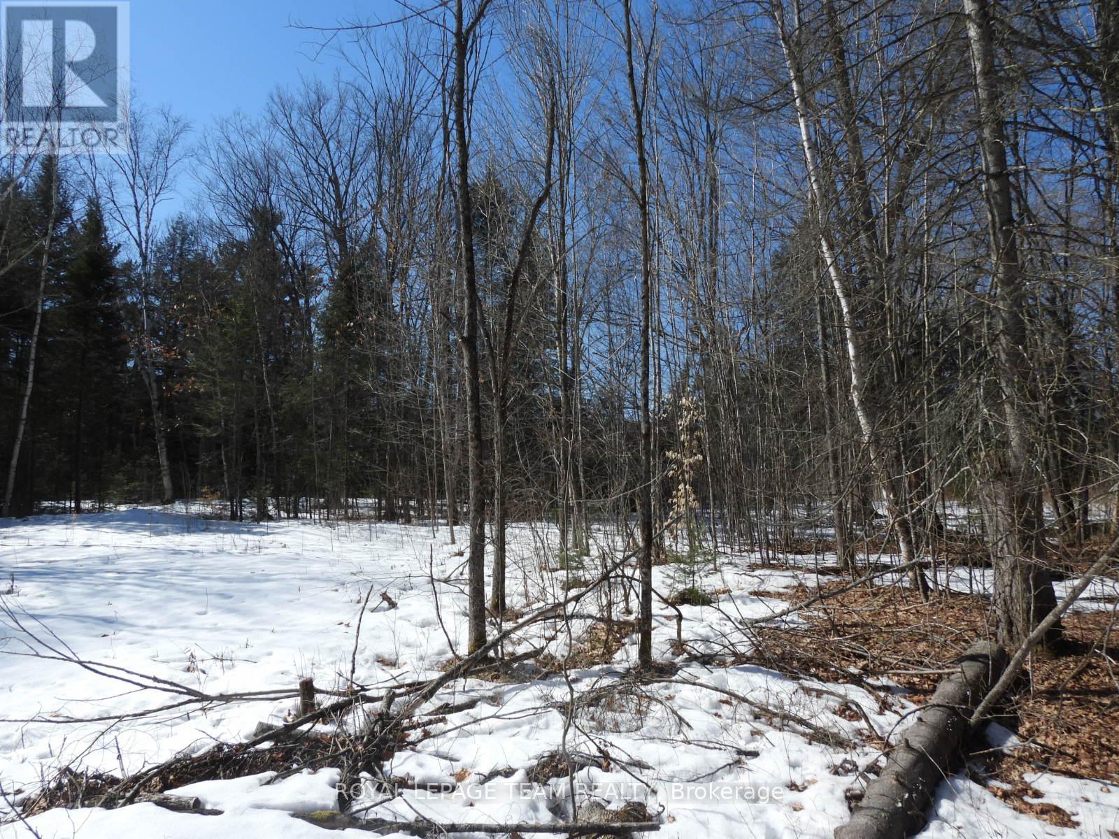 112 Mitchell Lane, Mcnab/braeside, Ontario  K7S 3G8 - Photo 27 - X12038111