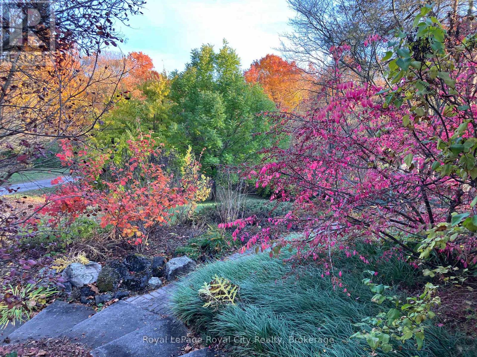 6992 Concession 4, Puslinch, Ontario  N0B 2J0 - Photo 42 - X11943453