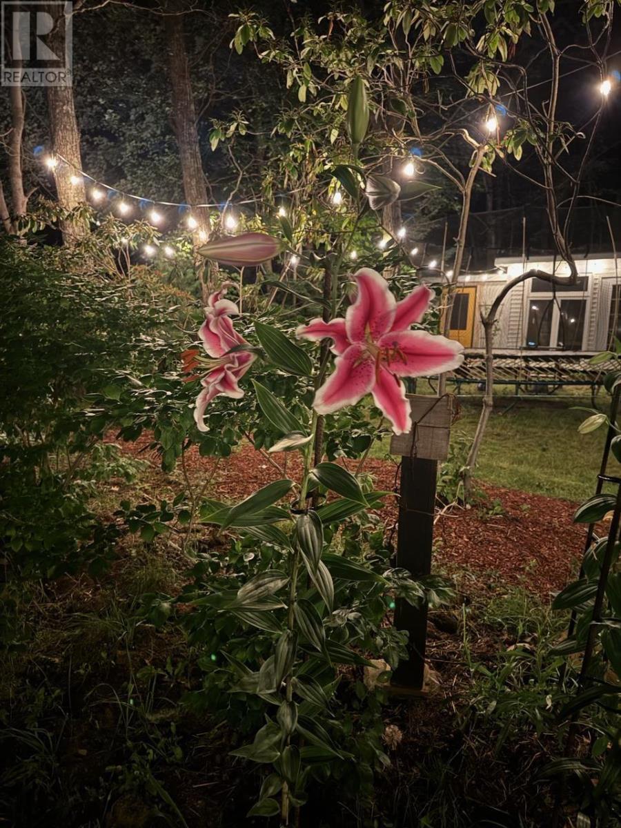 14070 Highway 3, Dayspring, Nova Scotia  B4V 2W2 - Photo 50 - 202505674