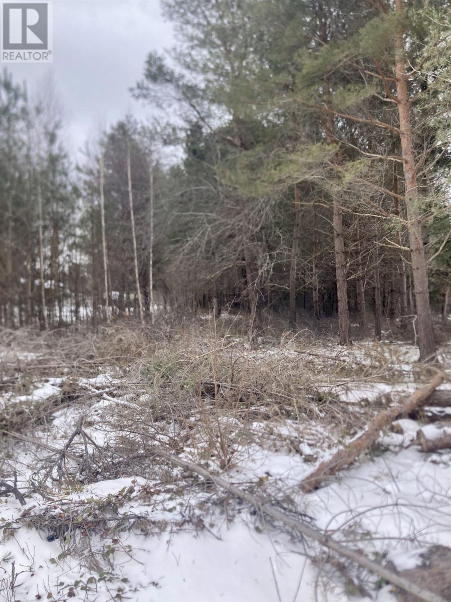 19 Chateau Court, Nictaux, Nova Scotia  B0S 1P0 - Photo 3 - 202505679