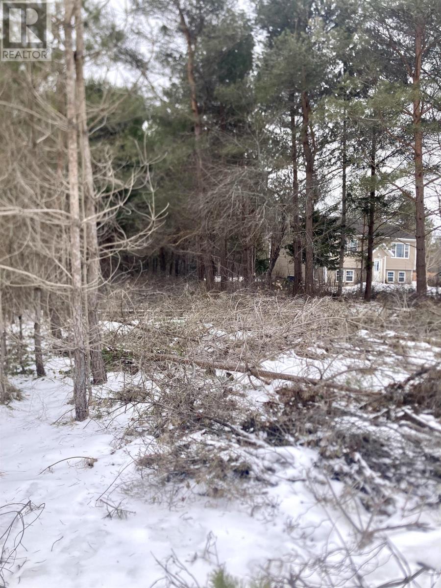 19 Chateau Court, Nictaux, Nova Scotia  B0S 1P0 - Photo 4 - 202505679