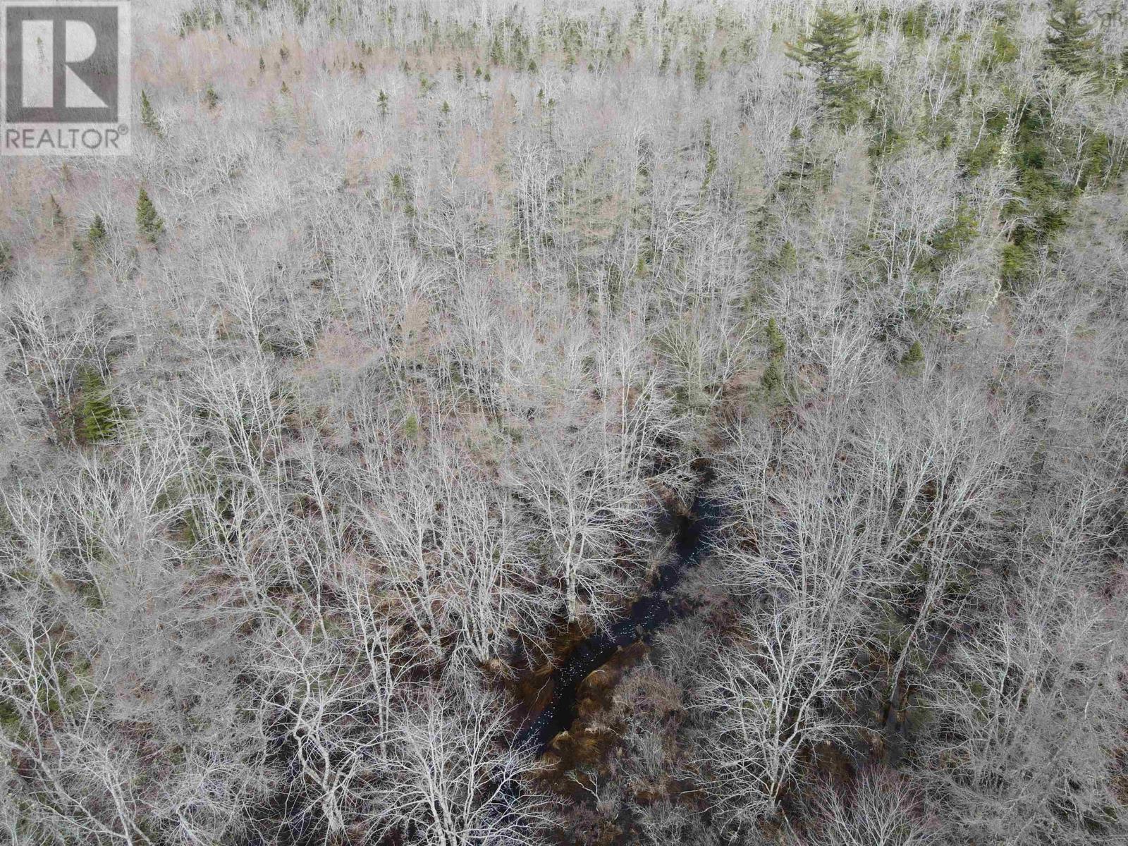 Lot Highway 103, Beaver Dam, Nova Scotia  B0T 1W0 - Photo 13 - 202505686