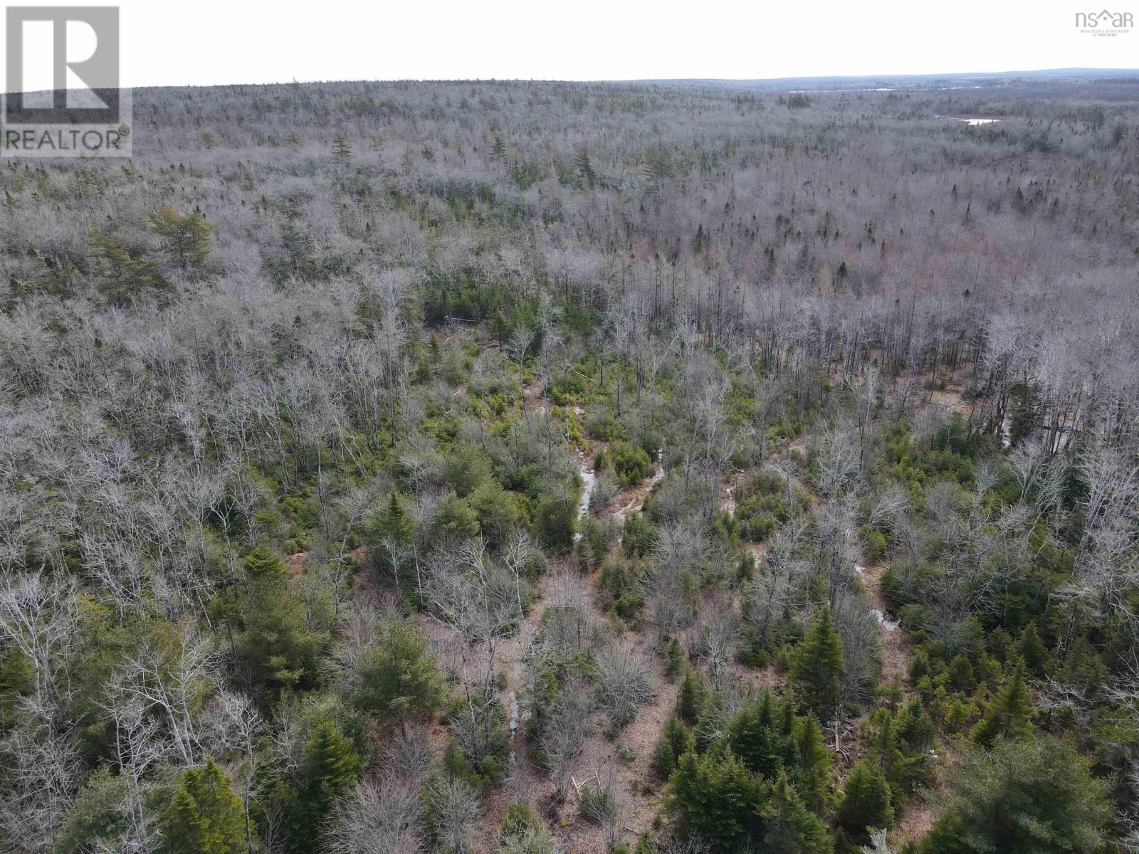 Lot Highway 103, Beaver Dam, Nova Scotia  B0T 1W0 - Photo 17 - 202505686