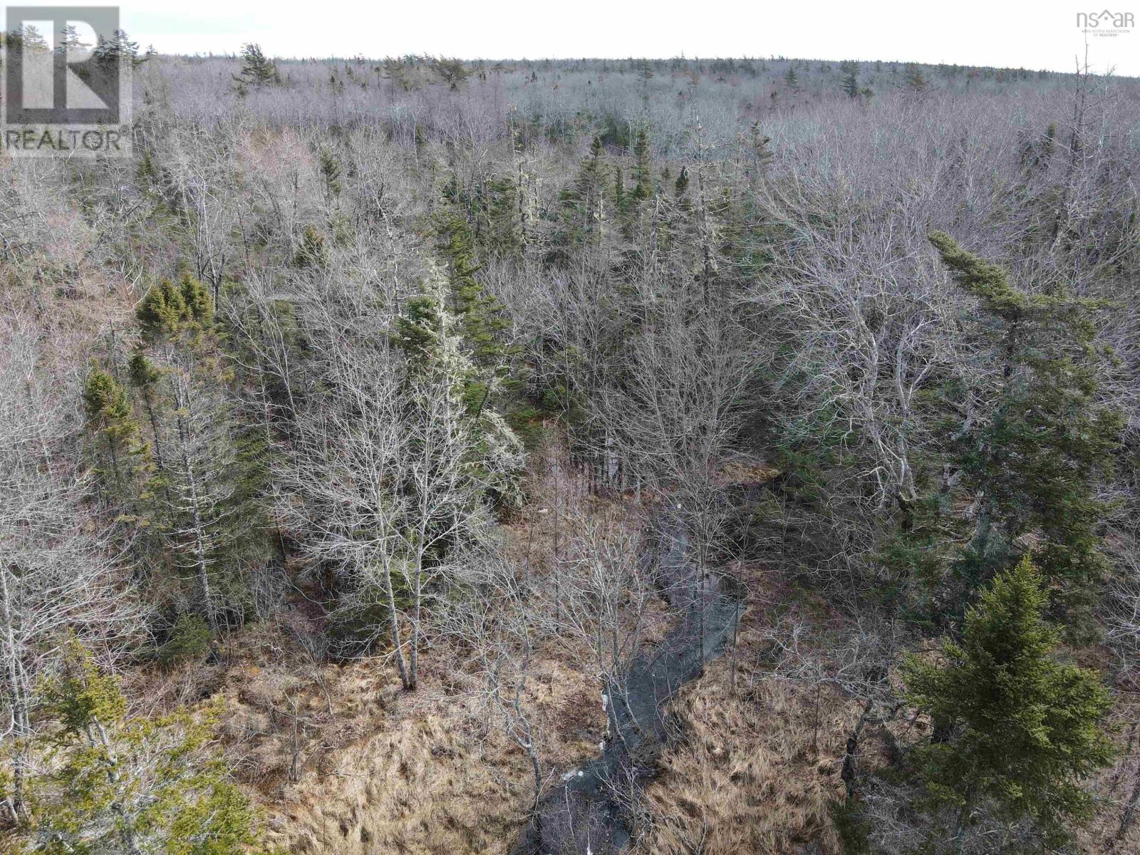 Lot Highway 103, Beaver Dam, Nova Scotia  B0T 1W0 - Photo 7 - 202505686