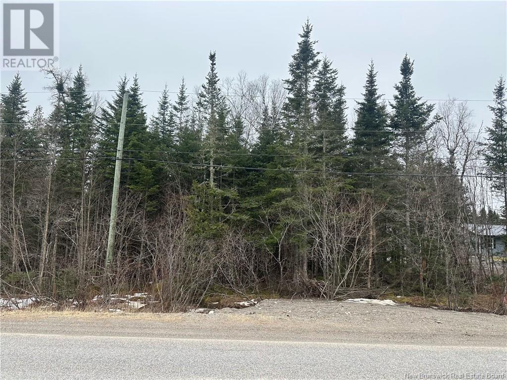 Lot 845 Route, Carters Point, New Brunswick  E5S 0A5 - Photo 1 - NB114647