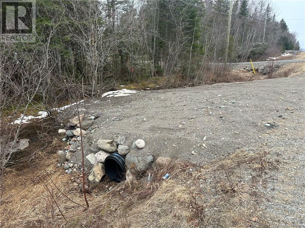 Lot 845 Route, Carters Point, New Brunswick  E5S 0A5 - Photo 2 - NB114647