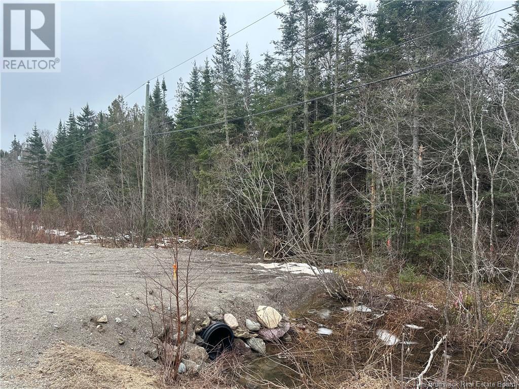 Lot 845 Route, Carters Point, New Brunswick  E5S 0A5 - Photo 3 - NB114647