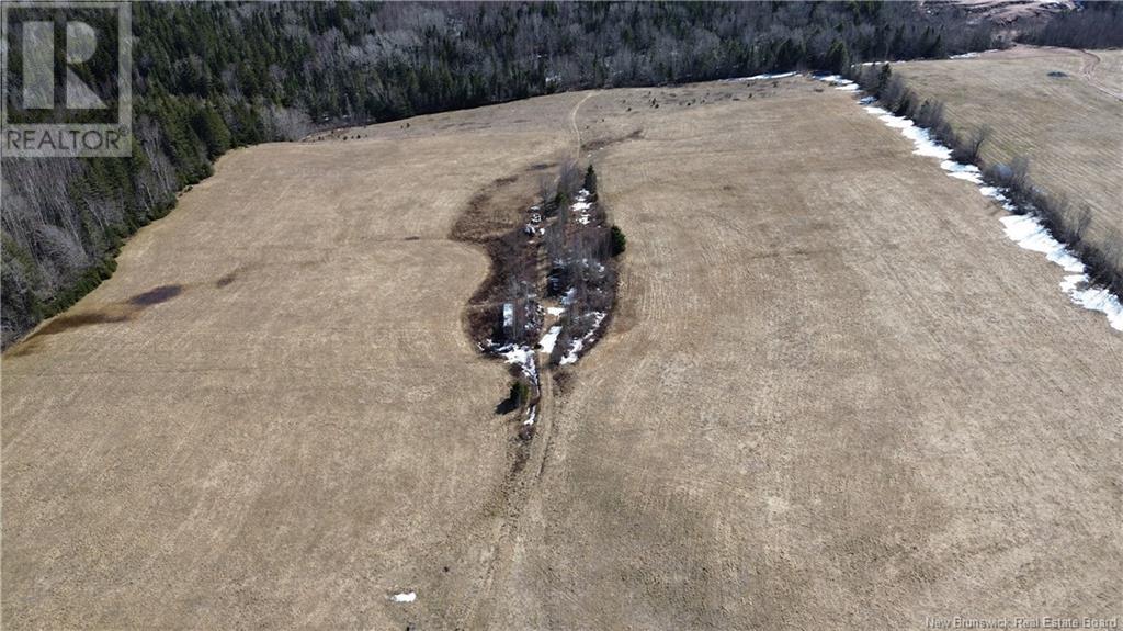 4060 Route 880, Havelock, New Brunswick  E4Z 5J7 - Photo 28 - NB114594