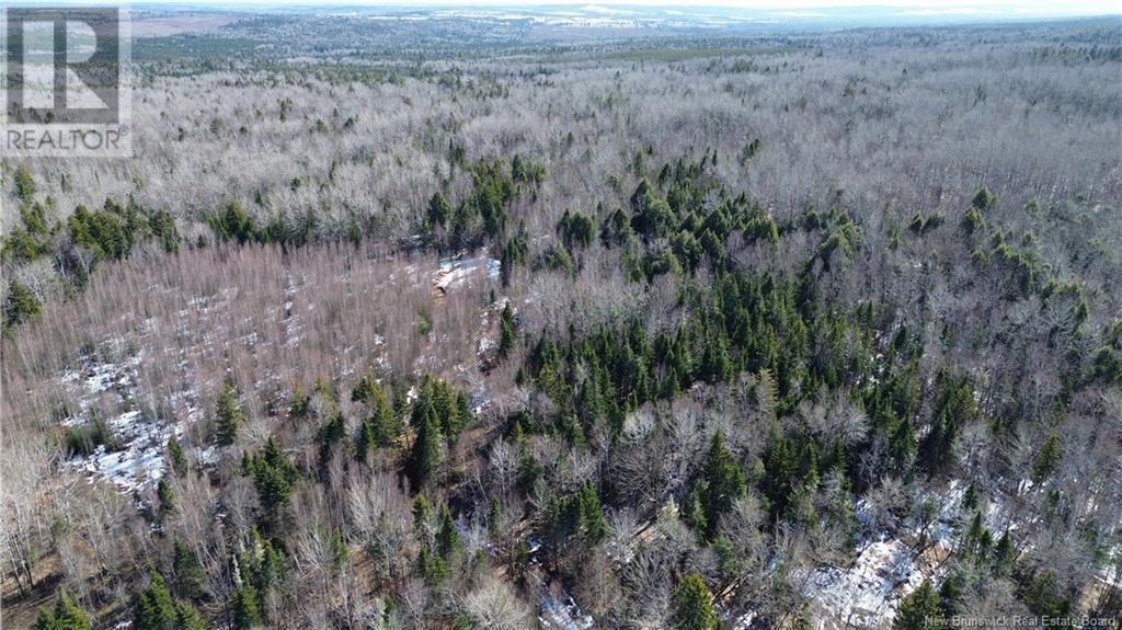 4060 Route 880, Havelock, New Brunswick  E4Z 5J7 - Photo 30 - NB114594