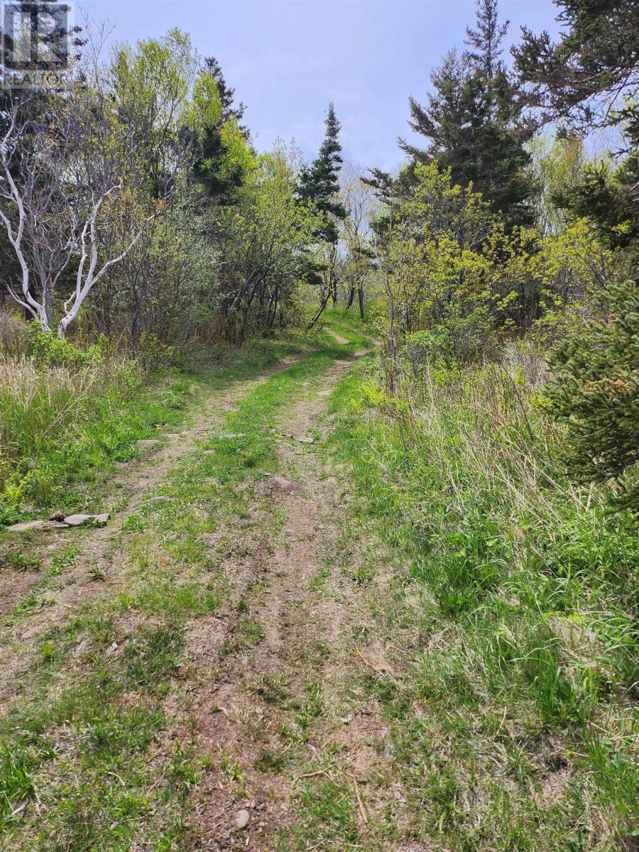 7079 Shore Road, Phinneys Cove, Nova Scotia  B0S 1L0 - Photo 12 - 202505506