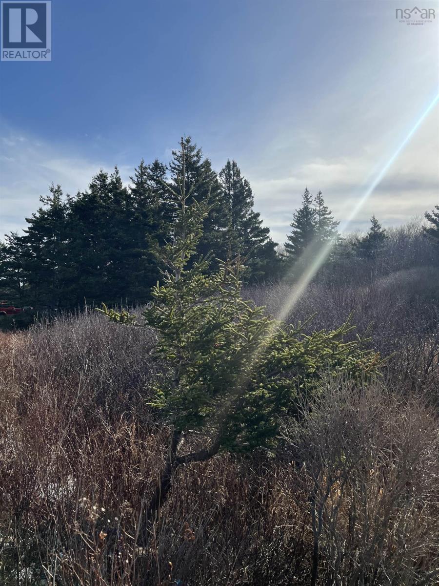 7079 Shore Road, Phinneys Cove, Nova Scotia  B0S 1L0 - Photo 22 - 202505506