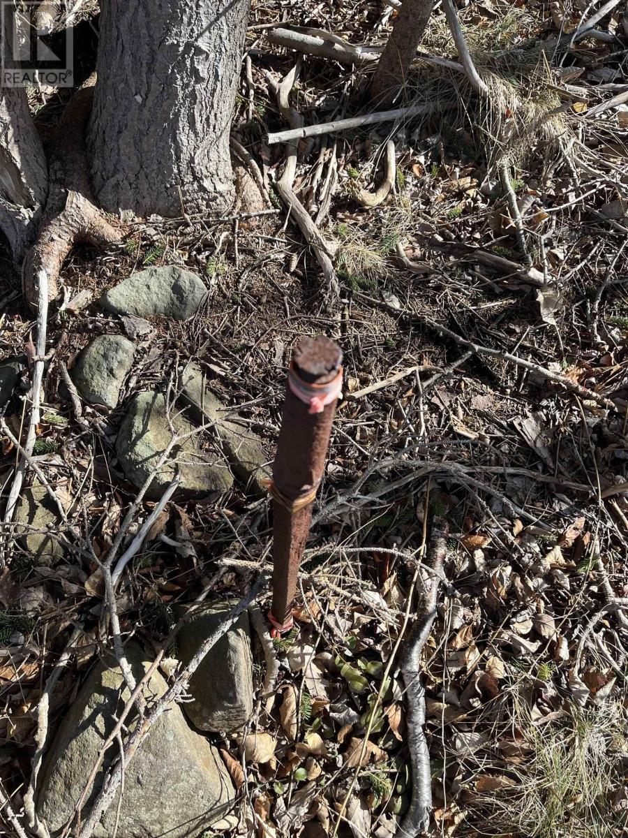 7079 Shore Road, Phinneys Cove, Nova Scotia  B0S 1L0 - Photo 26 - 202505506