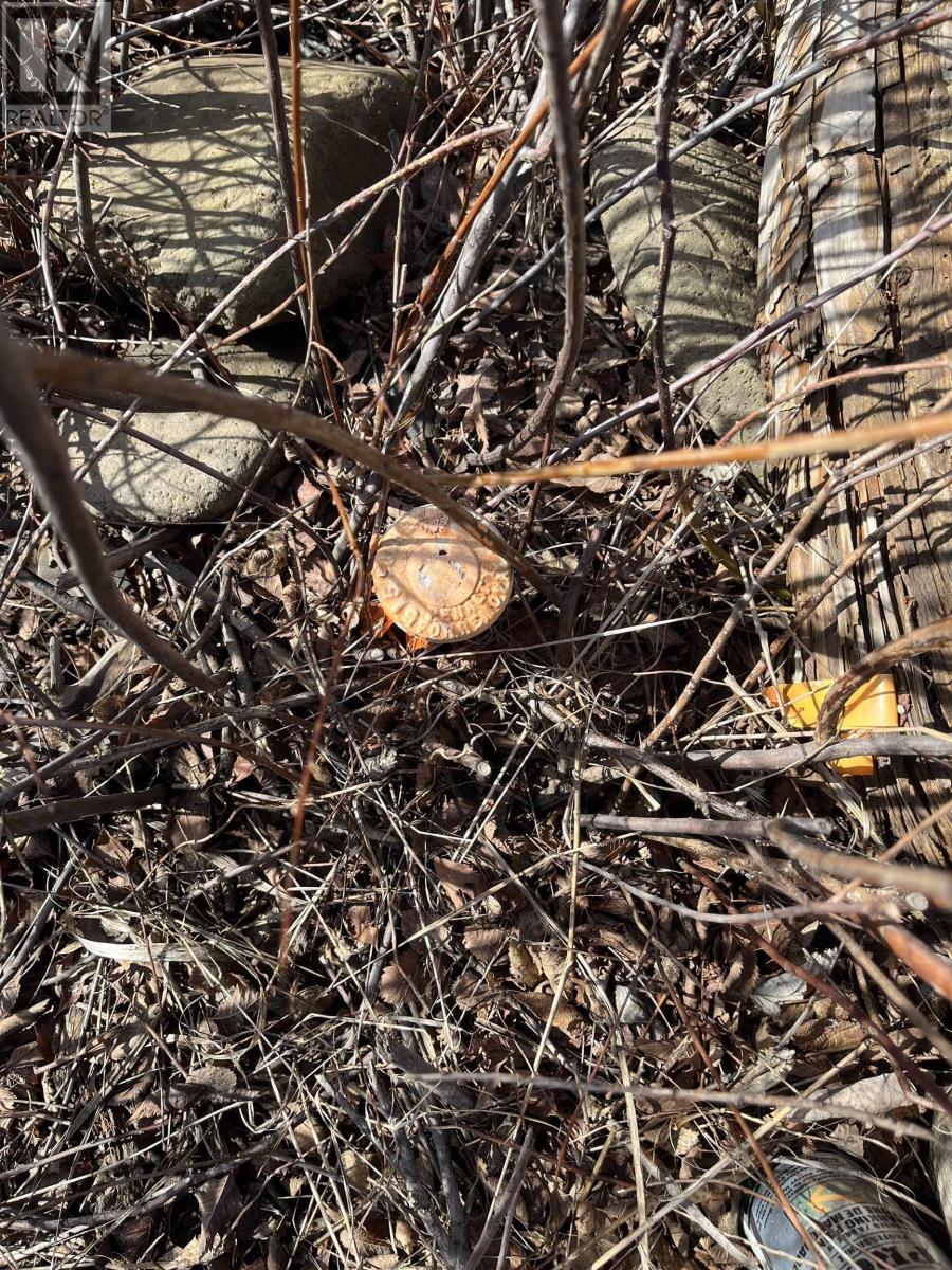 7079 Shore Road, Phinneys Cove, Nova Scotia  B0S 1L0 - Photo 28 - 202505506